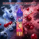 Fumot RandM Tornado 15000 Einweg-Vape in der Geschmacksrichtung Blueberry Cherry Cranberry