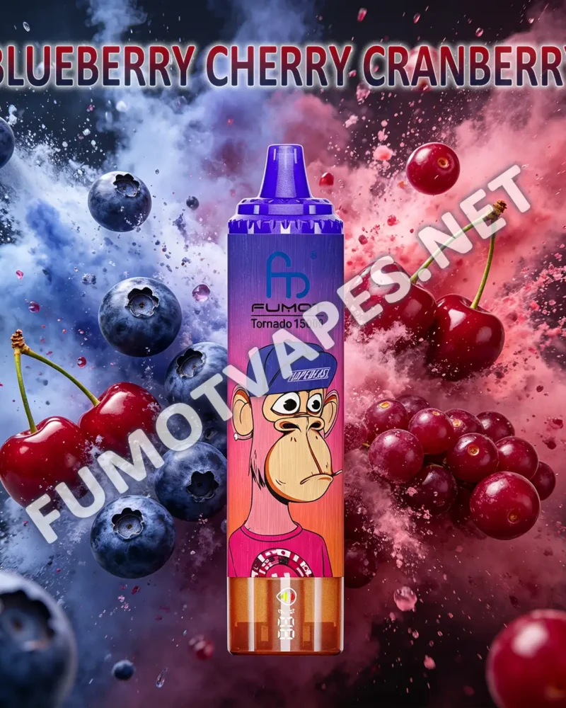 Fumot RandM Tornado 15000 Einweg-Vape in der Geschmacksrichtung Blueberry Cherry Cranberry