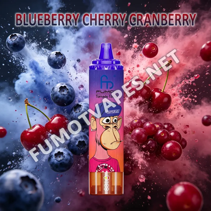 Fumot RandM Tornado 15000 Einweg-Vape in der Geschmacksrichtung Blueberry Cherry Cranberry