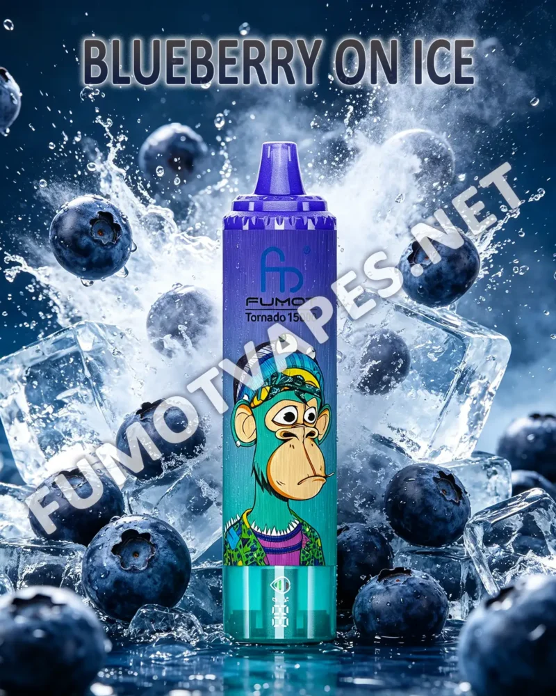 Fumot RandM Tornado 15000 Einweg-Vape in der Geschmacksrichtung Blueberry On Ice