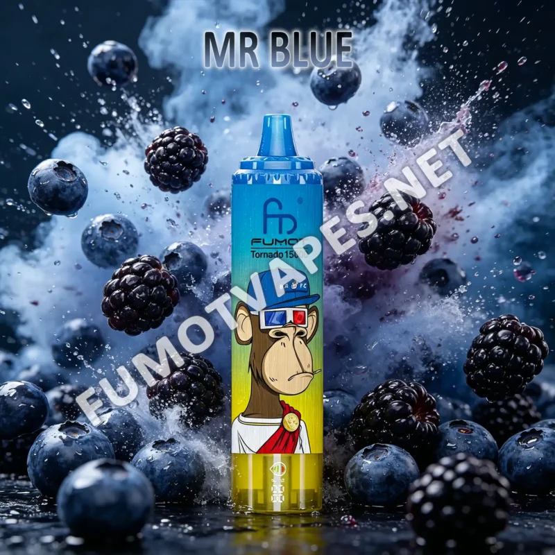 Fumot RandM Tornado 15000 Einweg-Vape in der Geschmacksrichtung Mr Blue